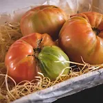 La Orza De Angel Чива