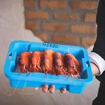 Отель La Orza De Angel Чива