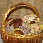 La Orza De Angel Чива