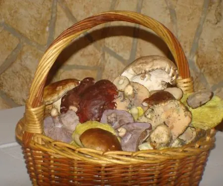 La Orza De Angel Chiva