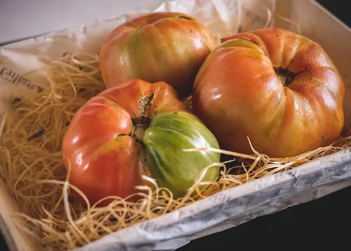 La Orza De Angel Chiva