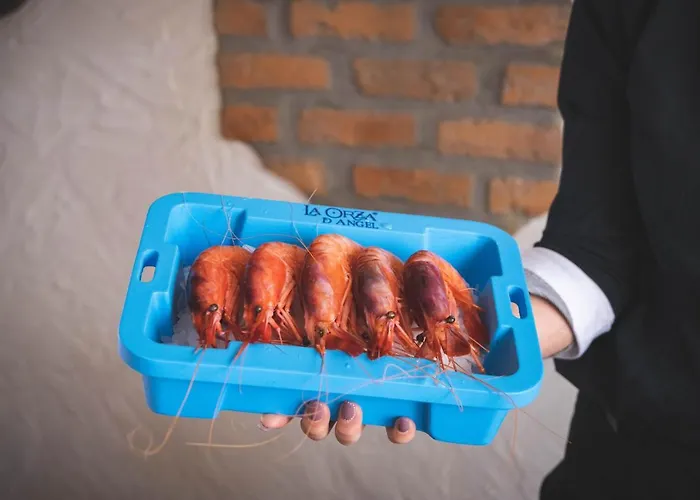 Hotel La Orza De Angel Chiva