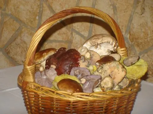 La Orza De Angel Chiva