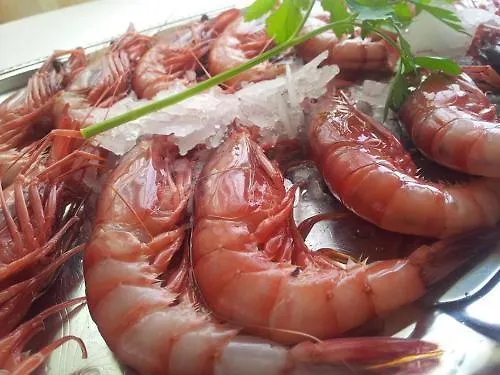 Hotel La Orza De Angel 2*